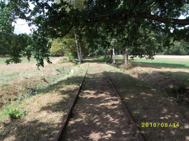 ZWNEGI49